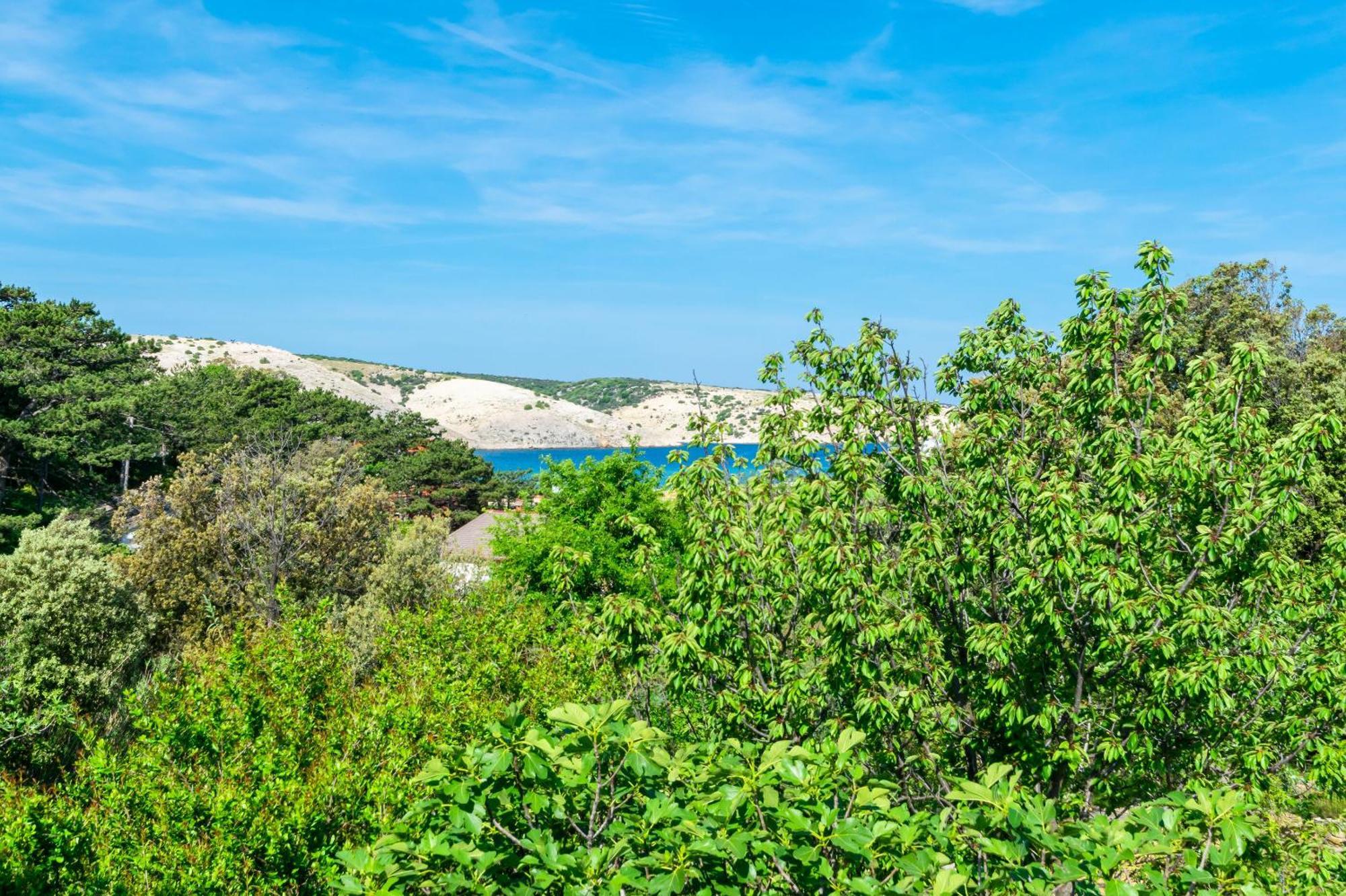 Apartment Grga - 300m To The Sea