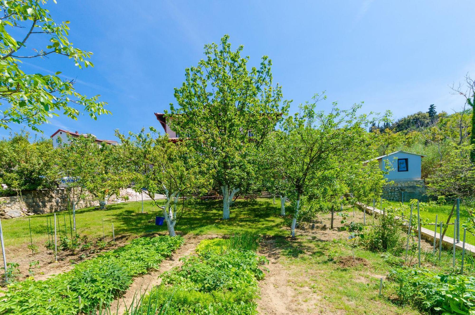 Grga - 300m To The Sea Apartment *